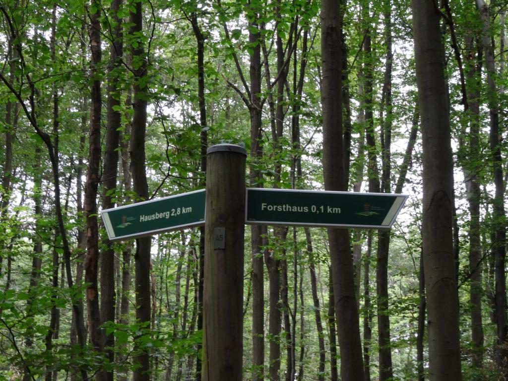 Wanderroute Hausbergturm